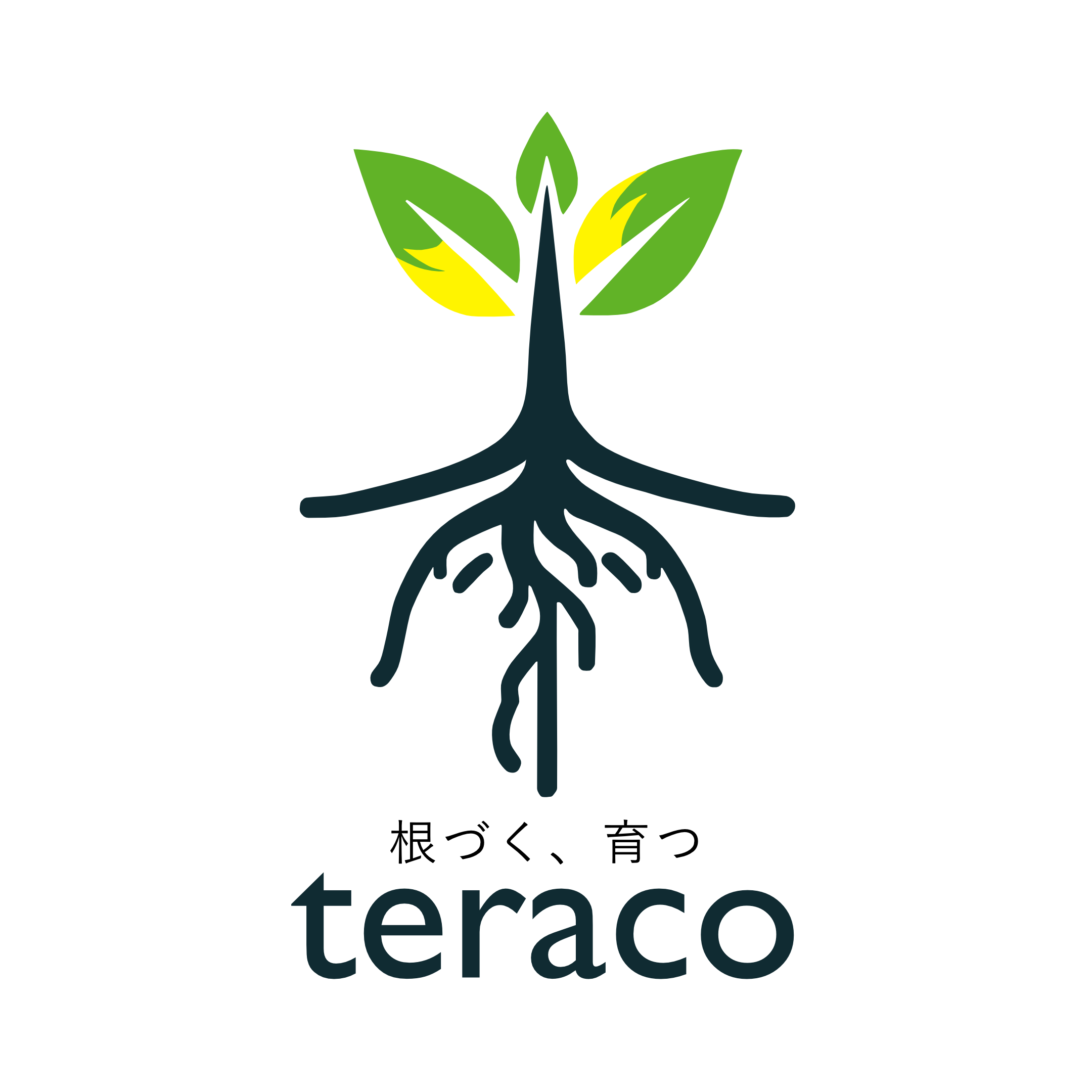 株式会社テラコ